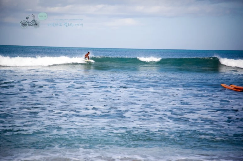 IMG_0116_Wide1080mark%EB%B0%94%EB%9E%8C%ED%83%80%EA%B3%A0.jpg?type=w773