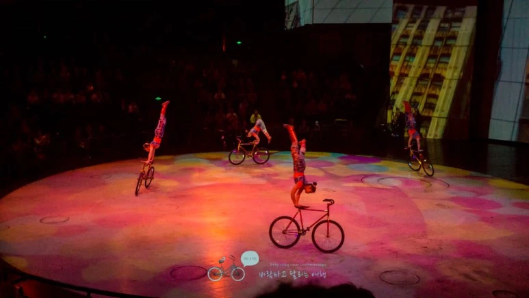 DSC05322_wide1080mark%EB%B0%94%EB%9E%8C.jpg?type=w773