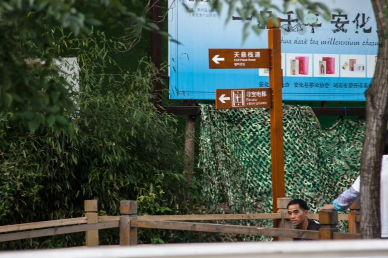 IMG_0689_Wide1080mark%EB%B0%94%EB%9E%8C.jpg?type=w773