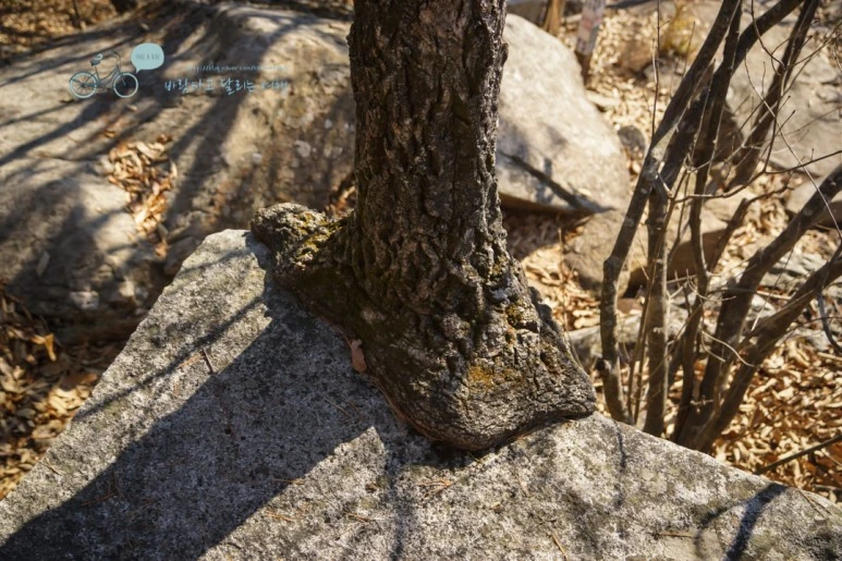 DSC05879_wide1080mark.jpg?type=w773