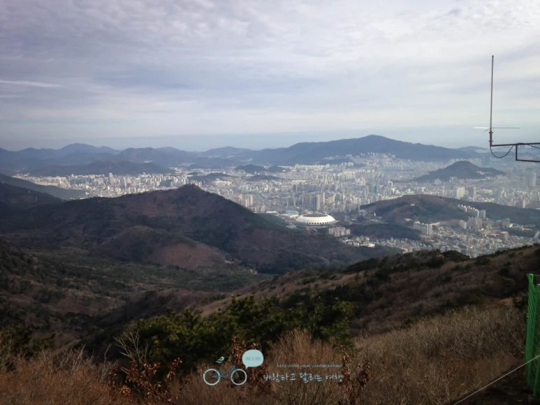 IMG_1288-_Wide1080mark%EB%B0%94%EB%9E%8C.jpg?type=w773