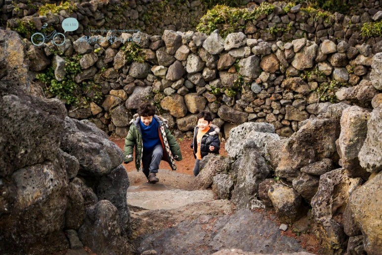 DSC00090_4.jpg?type=w773