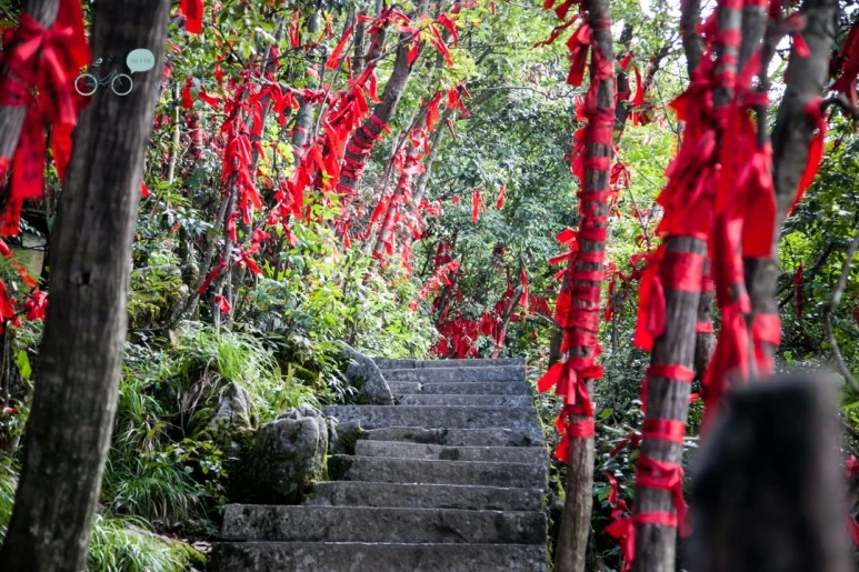 IMG_0177_Wide1080mark%EB%B0%94%EB%9E%8C.jpg?type=w773