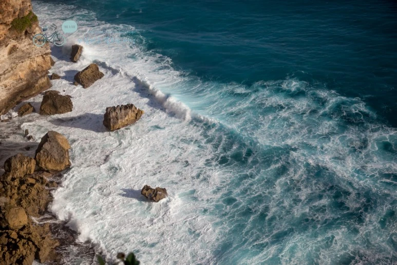 IMG_0565_Wide1080mark%EB%B0%94%EB%9E%8C%ED%83%80%EA%B3%A0-2.jpg?type=w773