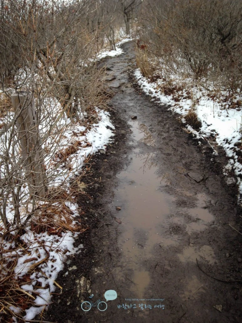 IMG_1921-_Wide1080mark.jpg?type=w773