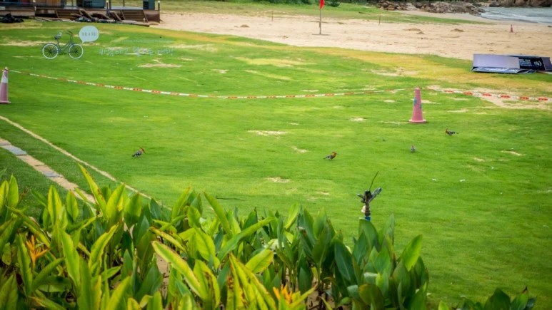 _1020053_wide1080_Wide1080mark_%EB%B0%94%EB%9E%8C.jpg?type=w773