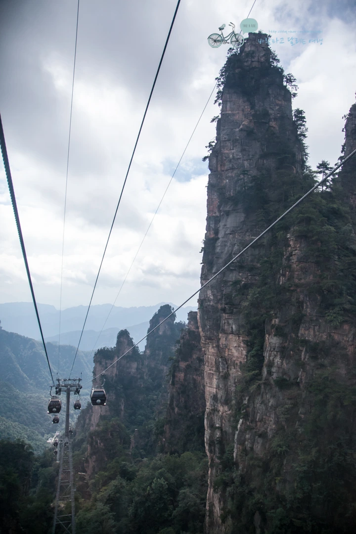 IMG_1157_Wide1080mark%EB%B0%94%EB%9E%8C.jpg?type=w773