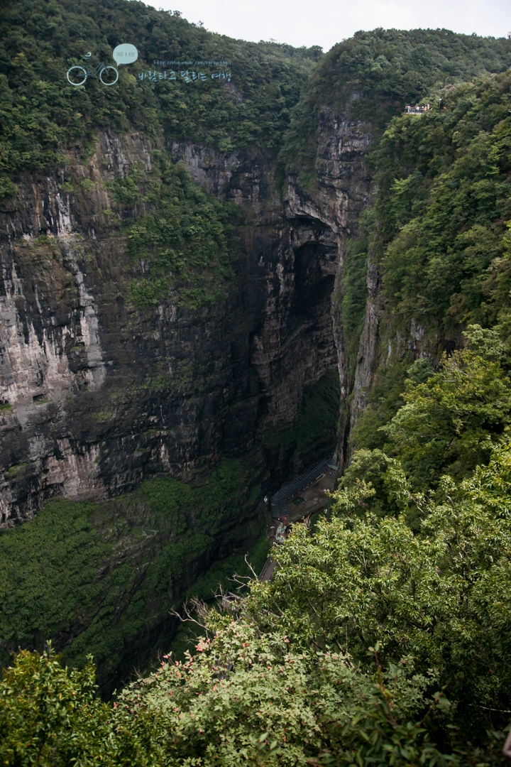 IMG_0430_Wide1080mark%EB%B0%94%EB%9E%8C.jpg?type=w773