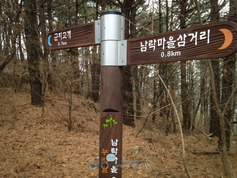 IMG_1437-_Wide1080mark.jpg?type=w773