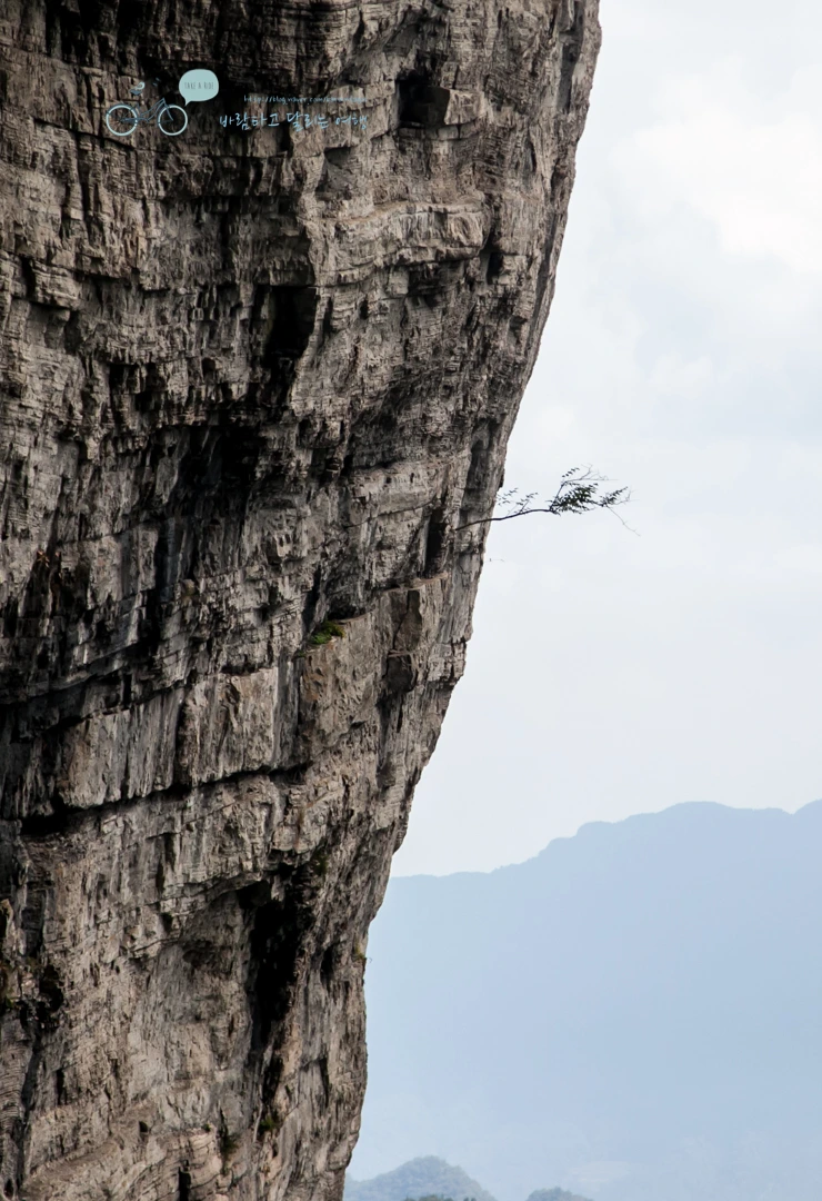 IMG_0469_Wide1080mark%EB%B0%94%EB%9E%8C.jpg?type=w773