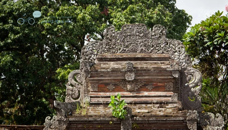 IMG_0318_Wide1080mark%EB%B0%94%EB%9E%8C%ED%83%80%EA%B3%A0-2.jpg?type=w773