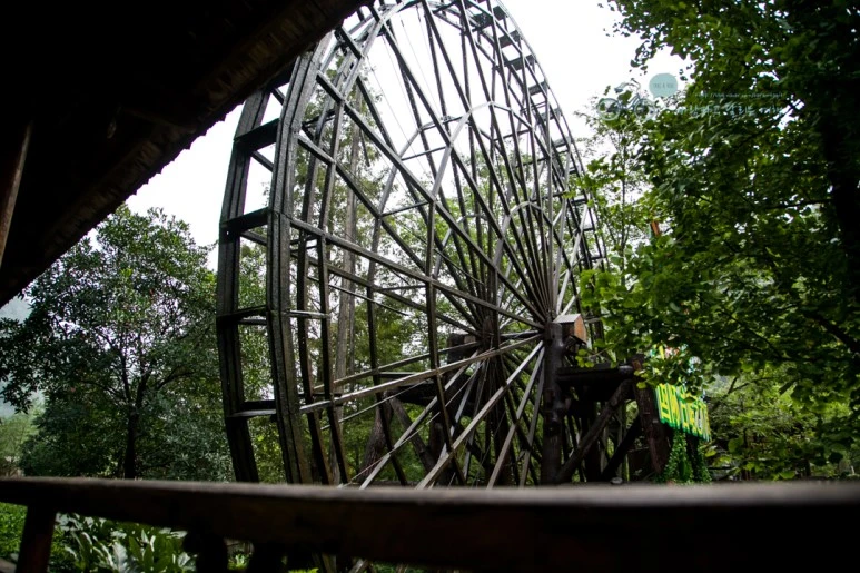 IMG_1094_Wide1080mark%EB%B0%94%EB%9E%8C.jpg?type=w773