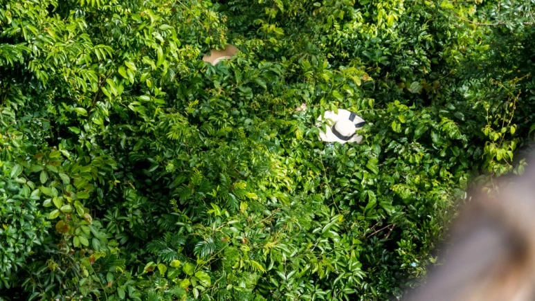 DSC05803_wide1080mark%EB%B0%94%EB%9E%8C.jpg?type=w773