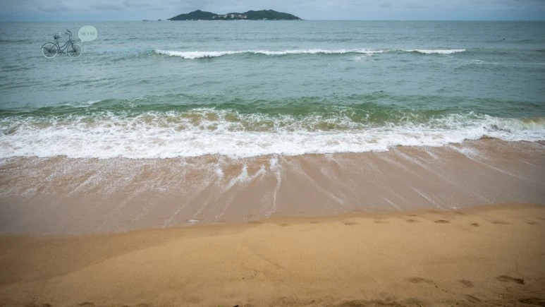 _1010026_wide1080_Wide1080mark_%EB%B0%94%EB%9E%8C.jpg?type=w773