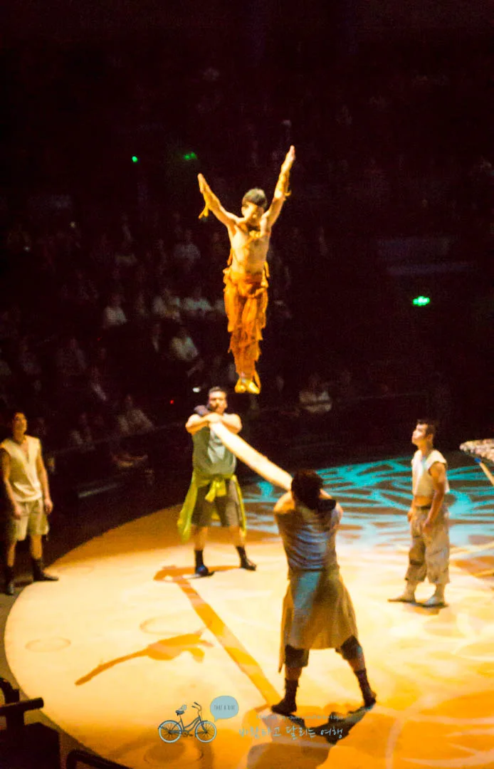 DSC05383_wide1080mark%EB%B0%94%EB%9E%8C.jpg?type=w773