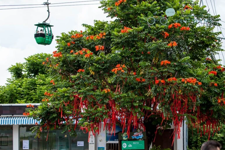 IMG_1145_wide1080%EB%B0%94%EB%9E%8Cmark.jpg?type=w773