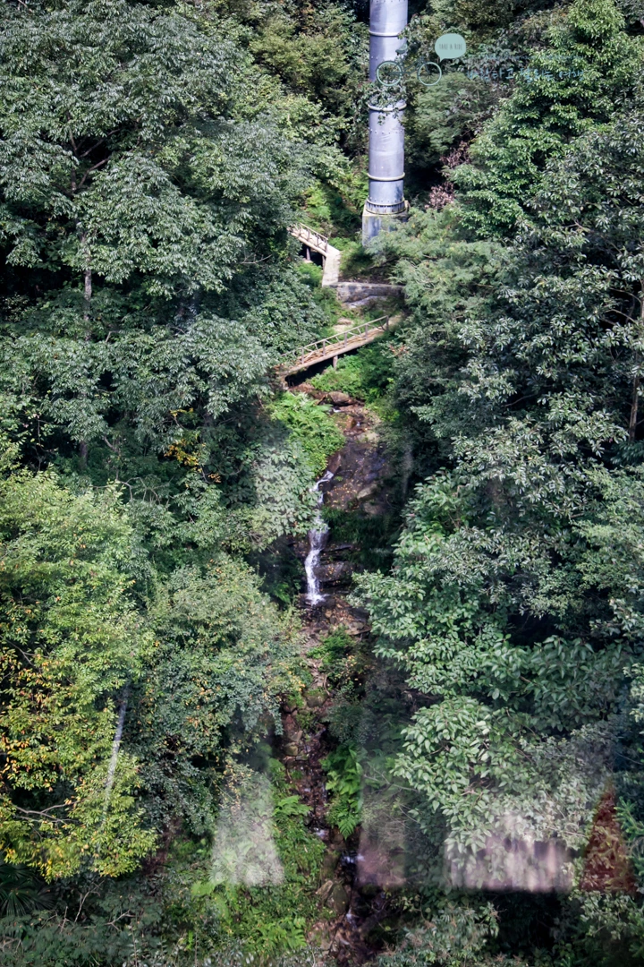 IMG_1137_Wide1080mark%EB%B0%94%EB%9E%8C.jpg?type=w773