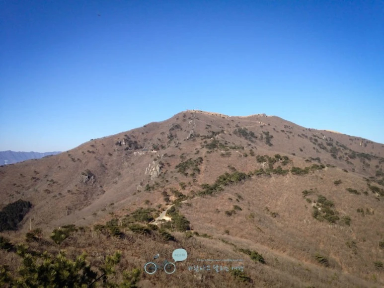 IMG_1475-_Wide1080mark.jpg?type=w773