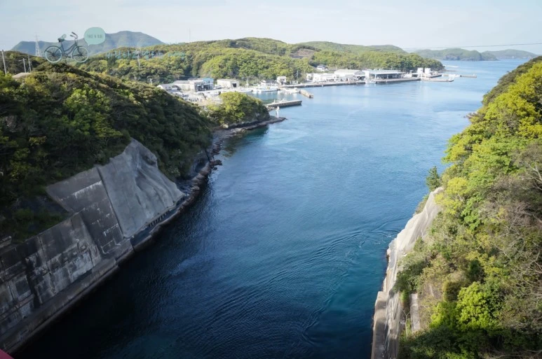 DSC07954_wide1080mark.jpg?type=w773