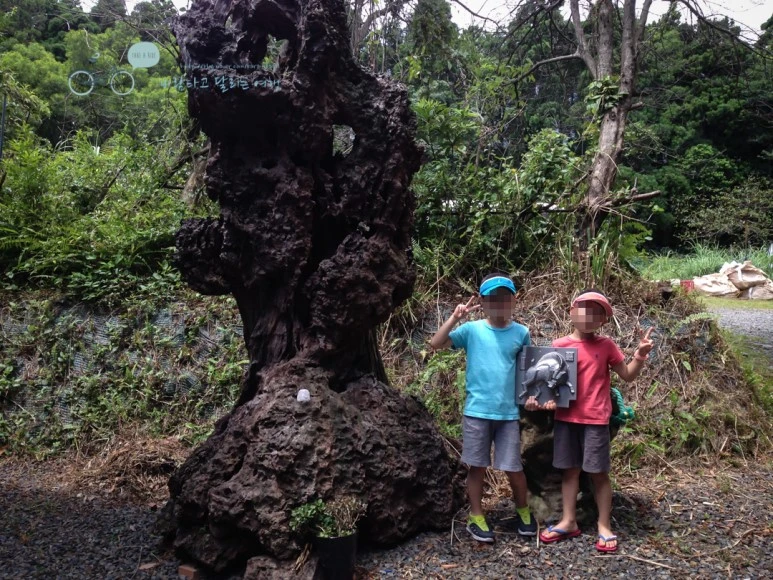 image_7443889451486605280091.jpg?type=w773