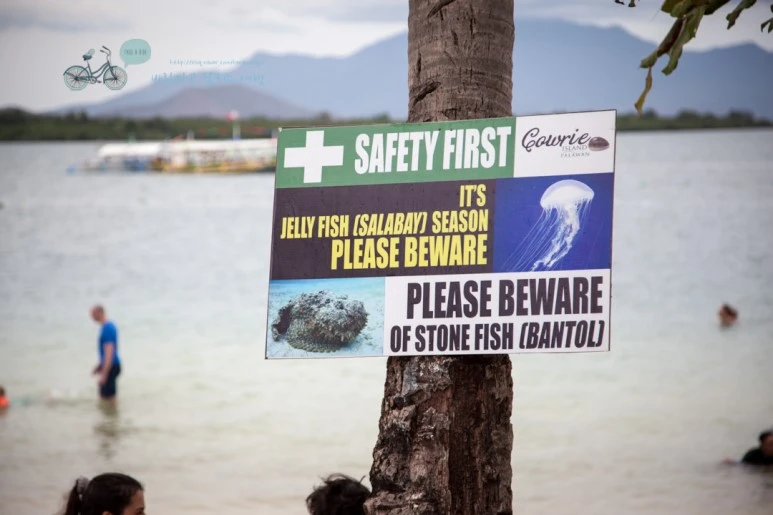 IMG_1711_Wide1080mark%EB%B0%94%EB%9E%8C%ED%83%80%EA%B3%A0.jpg?type=w773