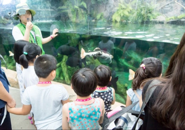 image_8780843201479177370134.jpg?type=w773