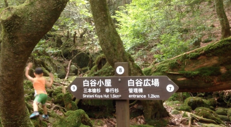 %EC%8A%A4%ED%81%AC%EB%A6%B0%EC%83%B7_2017-02-03_11.28.40.png?type=w773