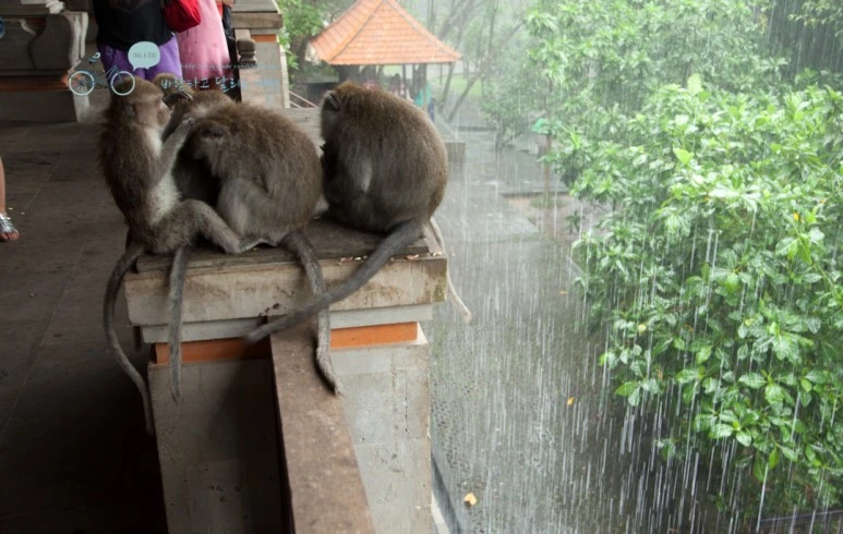 IMG_0198_Wide1080mark%EB%B0%94%EB%9E%8C%ED%83%80%EA%B3%A0-3.jpg?type=w773