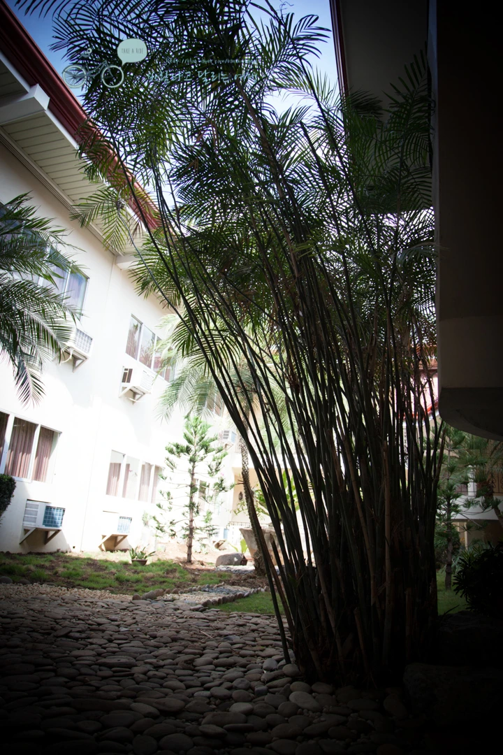 IMG_0745_Wide1080mark%EB%B0%94%EB%9E%8C%ED%83%80%EA%B3%A0.jpg?type=w773