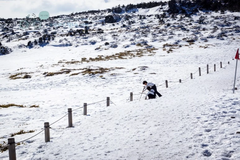 DSC00149_3.jpg?type=w773