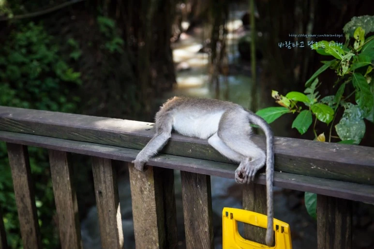 5D_IMG_1790_Short1200mark%EB%B0%94%EB%9E%8C.jpg?type=w773