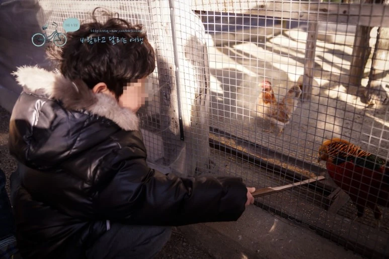 image_6418341601476869763851.jpg?type=w773