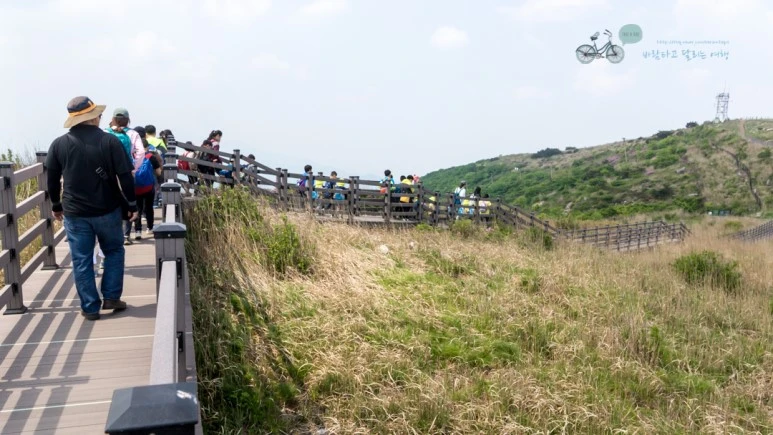 DSC05585_Wide1080mark%EB%B0%94%EB%9E%8C.jpg?type=w773