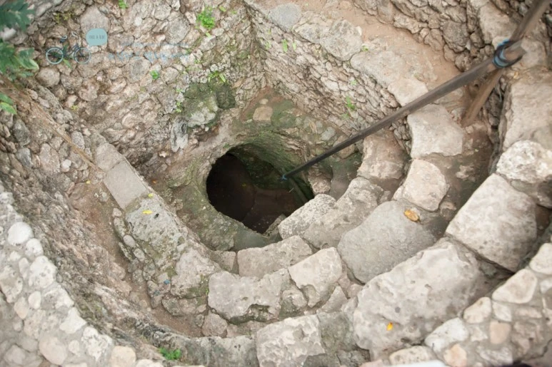 IMG_0136_Wide1080mark%EB%B0%94%EB%9E%8C%ED%83%80%EA%B3%A0-2.jpg?type=w773