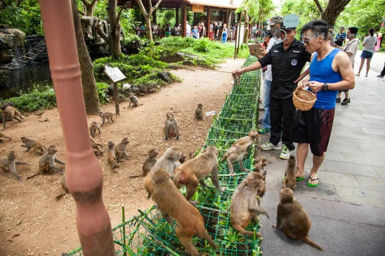 IMG_1318_wide1080%EB%B0%94%EB%9E%8Cmark.jpg?type=w773