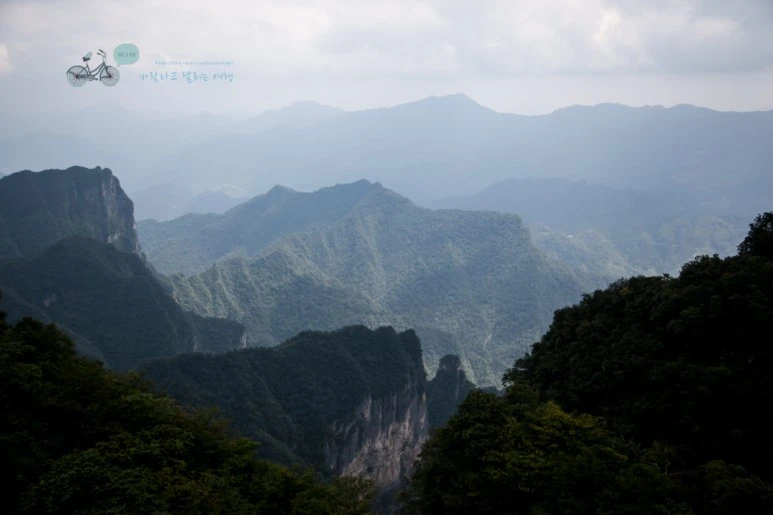 IMG_0323_Wide1080mark%EB%B0%94%EB%9E%8C.jpg?type=w773