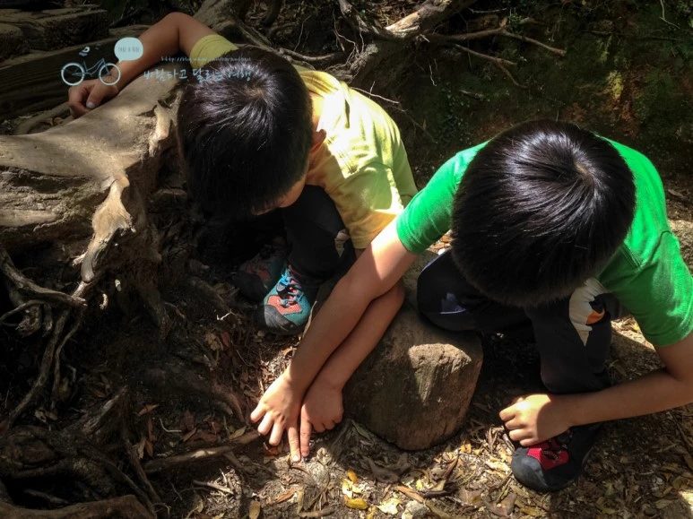 IMG_7994_wide1080mark.jpg?type=w773