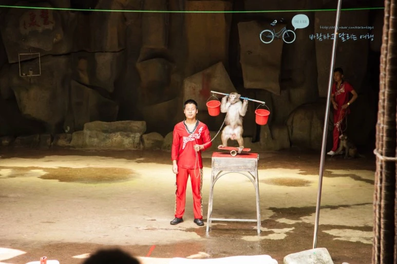 IMG_1348_wide1080%EB%B0%94%EB%9E%8Cmark.jpg?type=w773