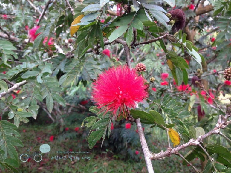 IMG_2817.jpg?type=w773