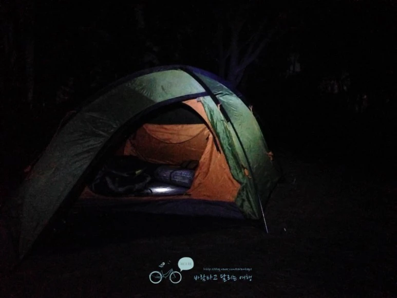 IMG_1124-_Wide1080mark%EB%B0%94%EB%9E%8C.jpg?type=w773