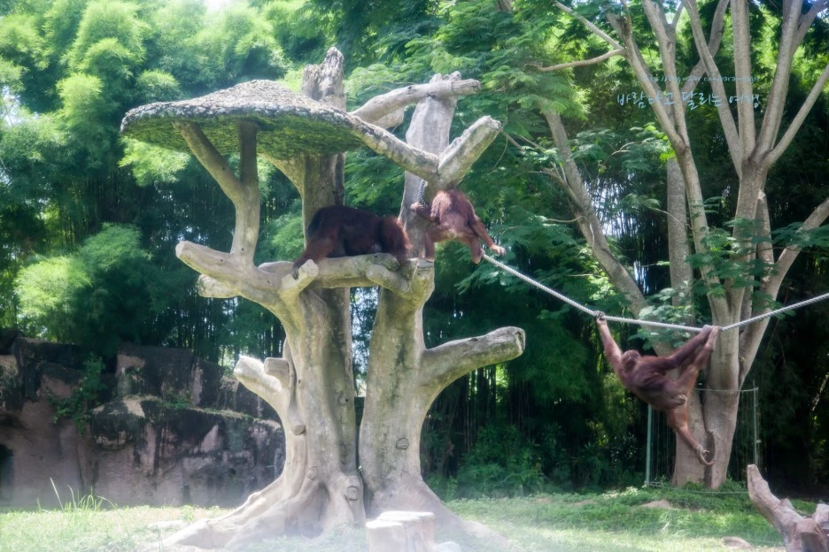 5D_IMG_2694_Short1200mark%EB%B0%94%EB%9E%8C.jpg?type=w1