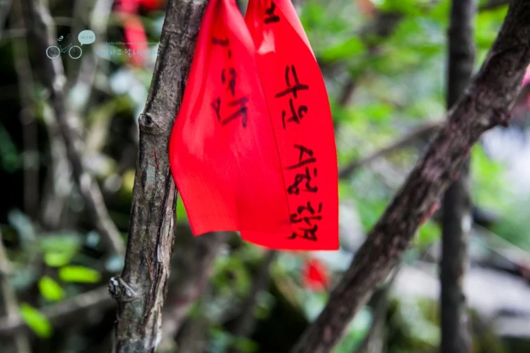 IMG_0179_Wide1080mark%EB%B0%94%EB%9E%8C.jpg?type=w773