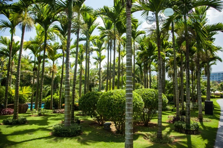 IMG_0539_wide1080%EB%B0%94%EB%9E%8Cmark.jpg?type=w773