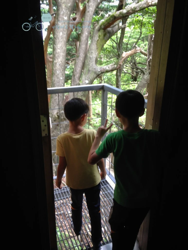 IMG_1464_wide1080.jpg?type=w773