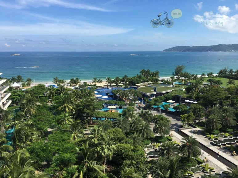 IMG_2909_wide1080%EB%B0%94%EB%9E%8Cmark.jpg?type=w773