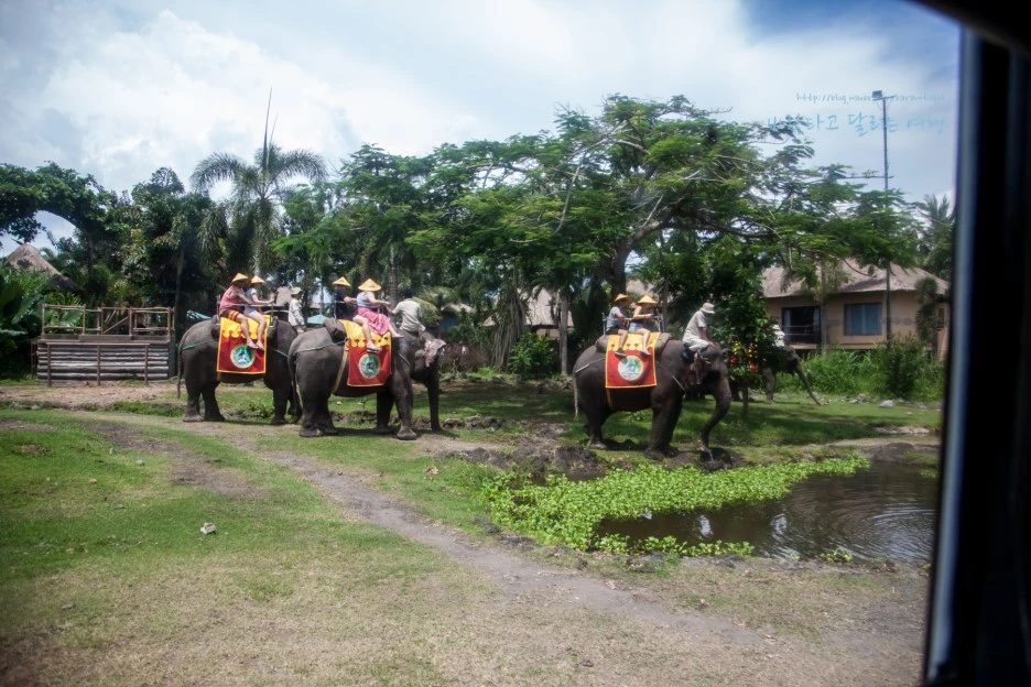 5D_IMG_2724_Short1200mark%EB%B0%94%EB%9E%8C.jpg?type=w1