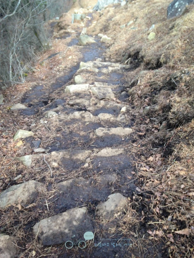 IMG_1290-_Wide1080mark%EB%B0%94%EB%9E%8C.jpg?type=w773