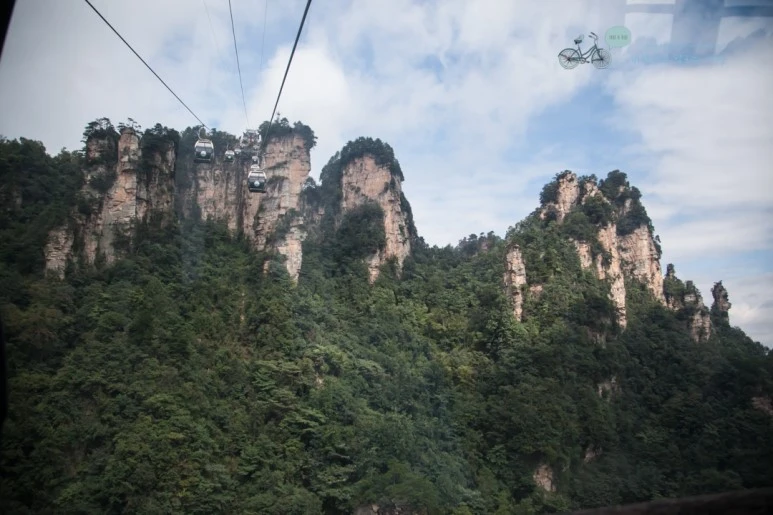 IMG_1158_Wide1080mark%EB%B0%94%EB%9E%8C.jpg?type=w773