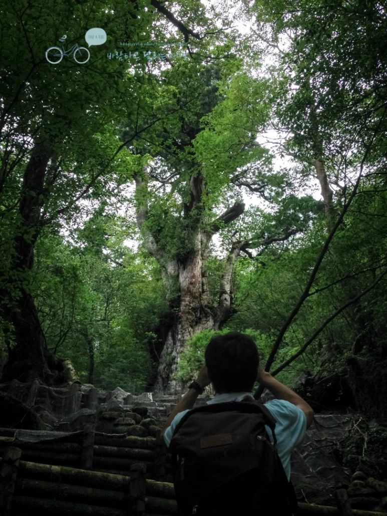 IMG_7962_wide1080mark.jpg?type=w773