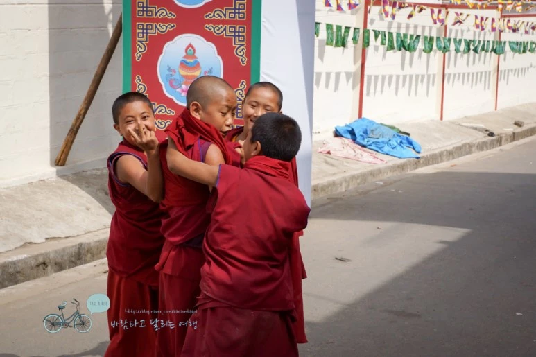 DSC00328.jpg?type=w773